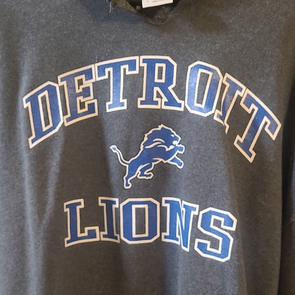 Detroit Lions Gray Hoodie - Picture 3 of 4